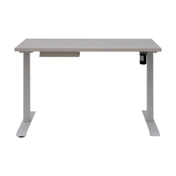 電動昇降テーブル ホワイト DST-1200 1個