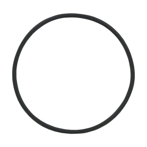 Oリング パーフロ G-67 φ64用 1個