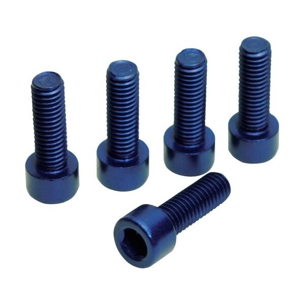 ワールドツール 5PC ボトルケージ用ボルト ブルー 26-08349 5袋...