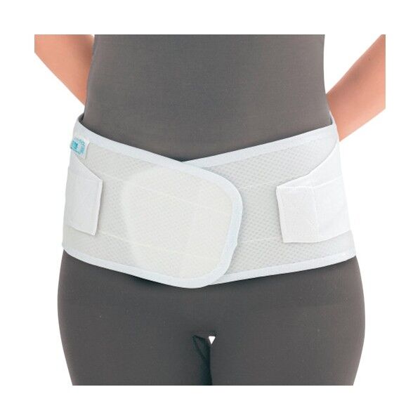 ソフラトラピス L 034184 1枚