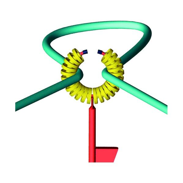 ホースガイド ホーススルー
