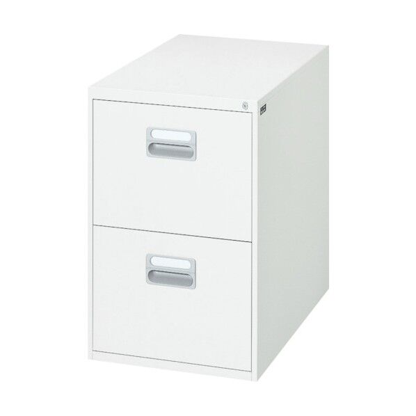 ダイシン工業 ファイリングキャビネットB4タイプ2段 ホワイト色 B4-2.77W 1点