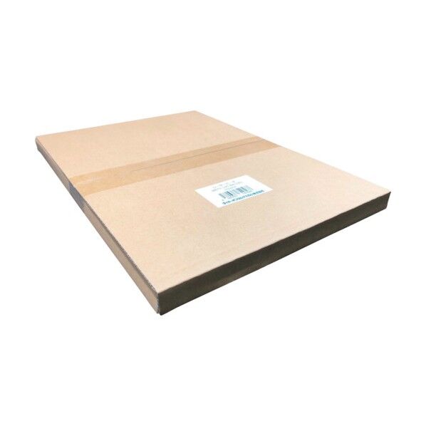 レーザーピーチ WETY-145 B4 WETY145B4 100枚