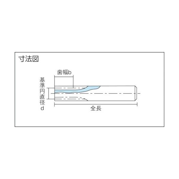 平歯車 モジュール0.5 K1形