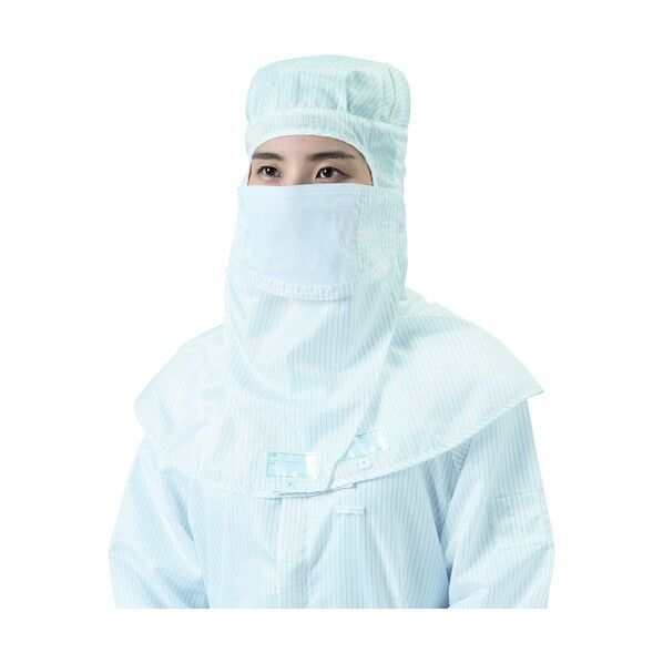 マスク(ガード付/クリーンパック)