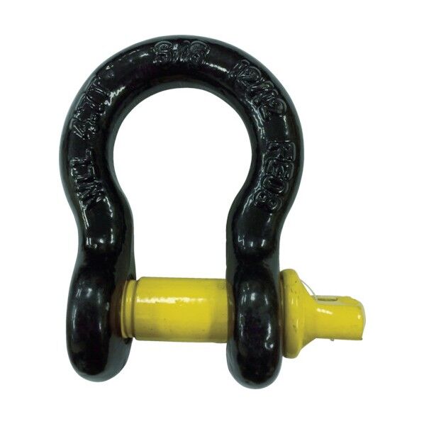 タイガーシャックル