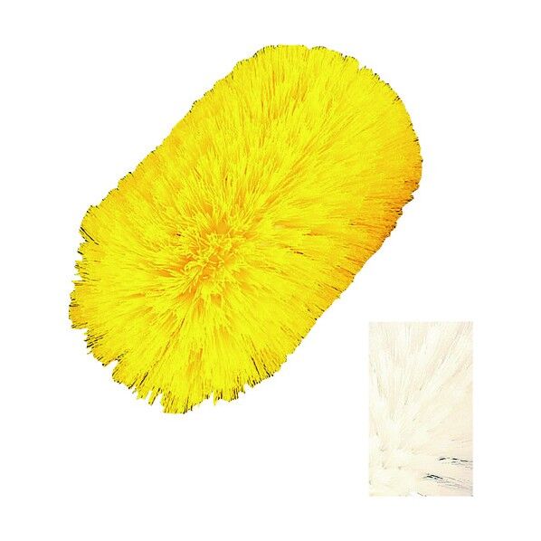 カーライル タンクケトルブラシ L(ハンドル別売) 41177 ホワイト ホワイト L JBLQ003 1個