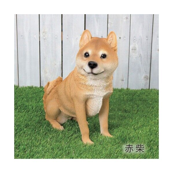 シバ(おすわり)QY-053 6300028580 1点