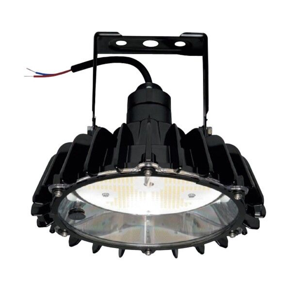 高天井用LEDランプ アームタイプ 特殊環境 屋外形(塩害対応) RBME21CMNC1 1点
