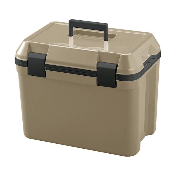 アイセル#25 サンドベージュ ISL-25SB 1個