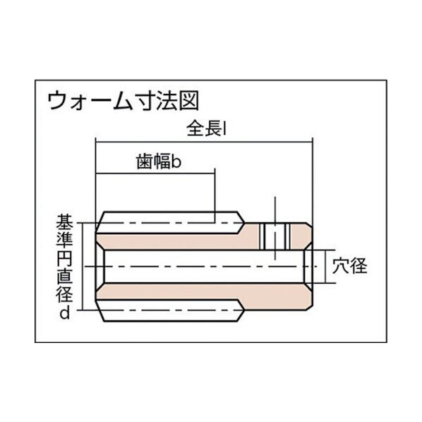 ウォーム ステンレス(セットスクリュー無し)