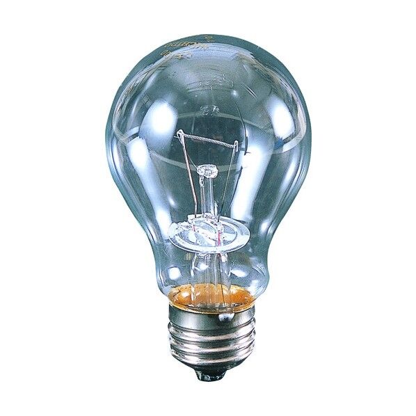 耐震球クリア耐震球110V100W