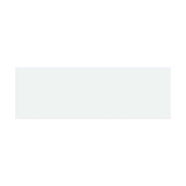 差し込み式白無地プレート KS‐E札 白 50×150mm 228051 10枚