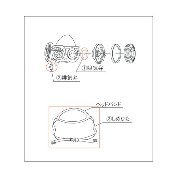 しめひもDHHB430000