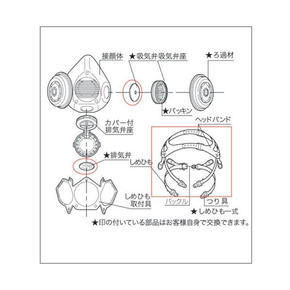 エッジ付き吸気弁 IVVA1000 1