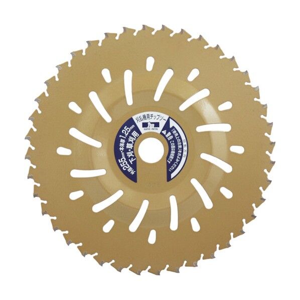 イエローシャーク