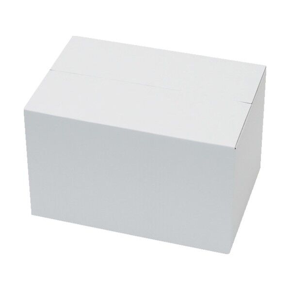 段ボール 白無地