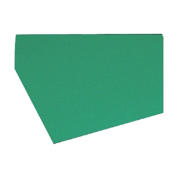 TSランナータイプR