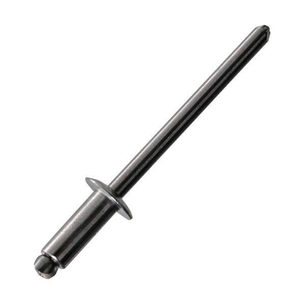 トラスコ ブラインドリベット（ＳＵＳ／ＳＵＳ）４－２６０本入 137 x 71 x 29 mm SS-42 (ステン/ステン 60ホンイリ) 60本