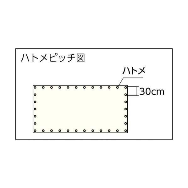 ターポリンシートブルー1850X50M0.35mm厚 TPS1850R-B 1点