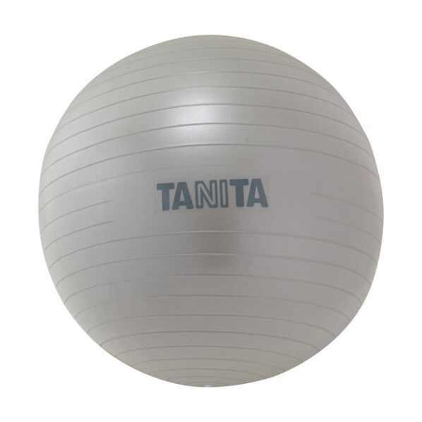 ジムボール 650×650×650mm TS-962-SV 1点