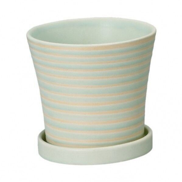 パステルホルベL ライトグリーン