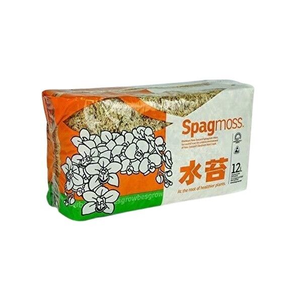 ニュージーランド産水苔