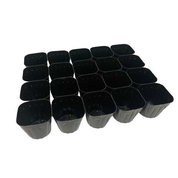 根巻防止連結ポリ鉢10.5合体くん 20鉢 1個...