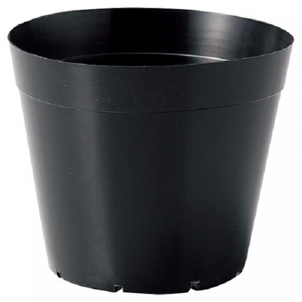 硬質ポリ鉢 黒10P