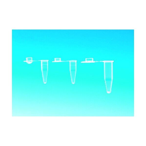 PCRチューブ 0.2mL ドームcap 814-23-31-01 1000個