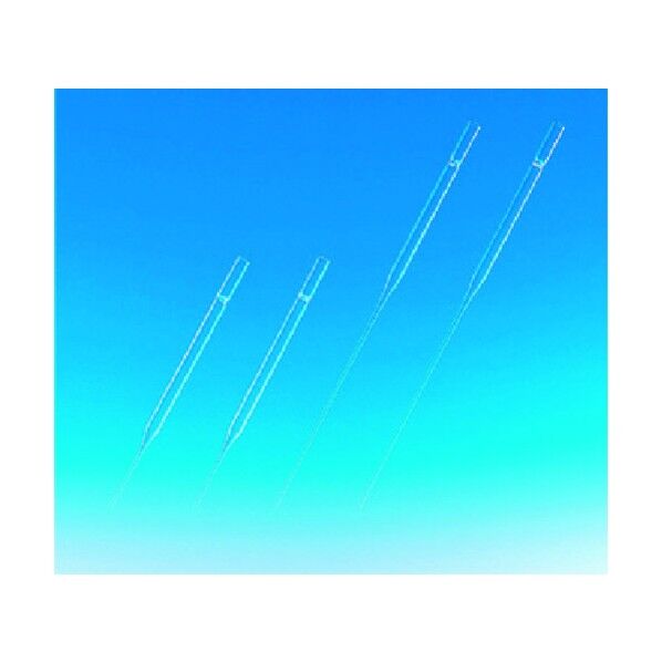 パスツール 7×146L ウイトン