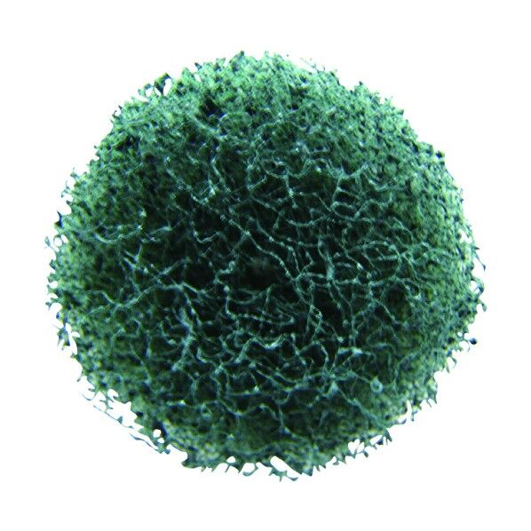 バフポリッシャー