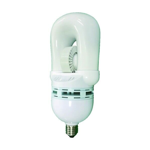 Lamp BU-50W-E26-N-WT 屋外用 2969 1点