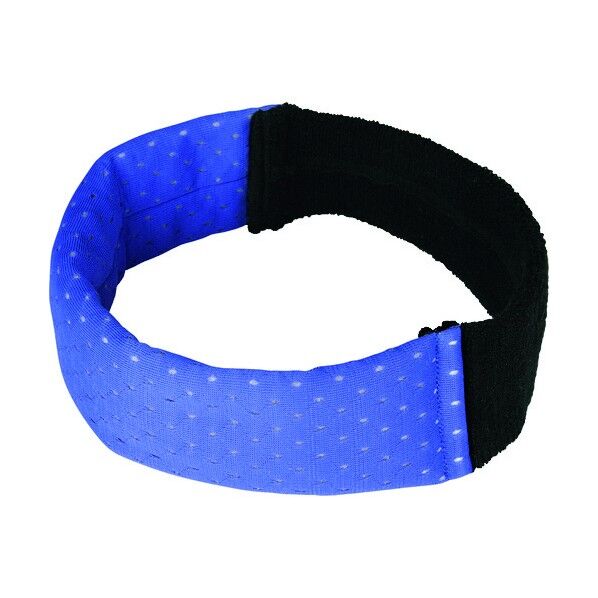 AION サモコンクールNEOヘアバンドタイプブルー