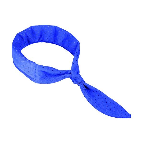 アイオン サモコンク-ルNEO スカーフ ブルー F