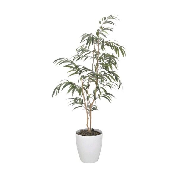 ショウナンゴム1.8m 6300029282 1点