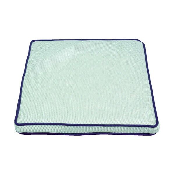 エアリークッション