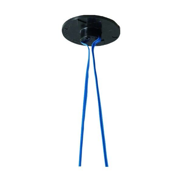 パイピタ青(20個入) PP19VJB 20個