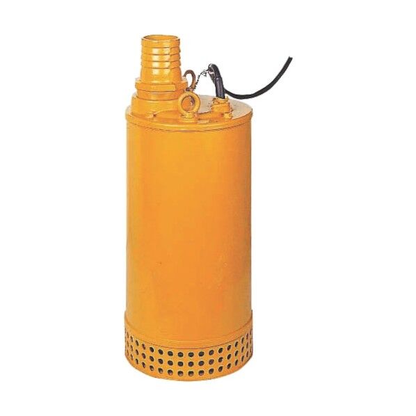 農事用水中ポンプ DUH-506-2.2-F 1点