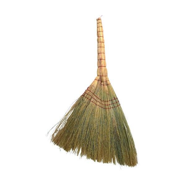 キビボウキ 85cm