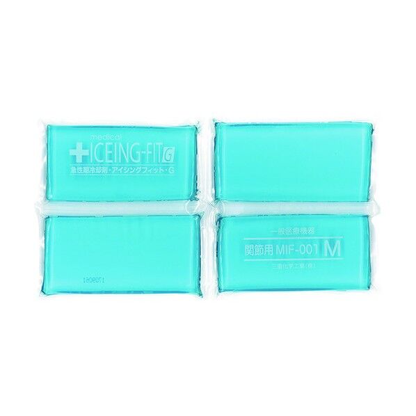 アイシングフィットG