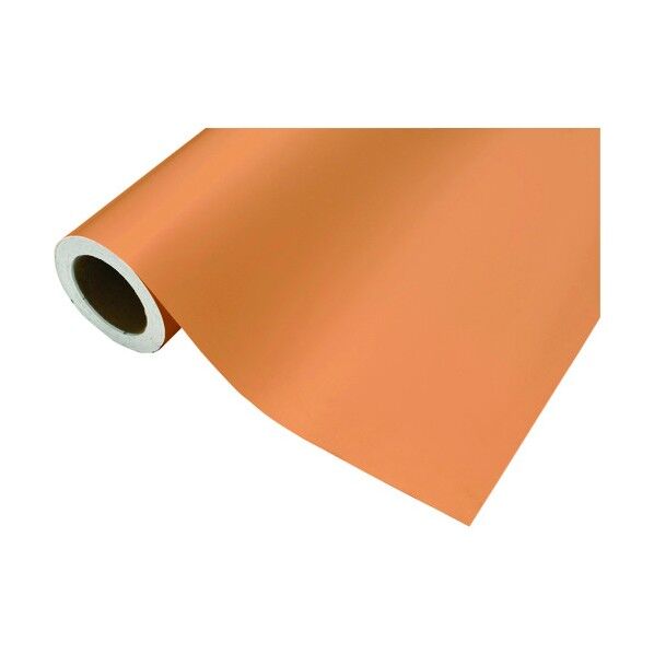カッティングシート229キャメル450mm×12M CS045229R 1点