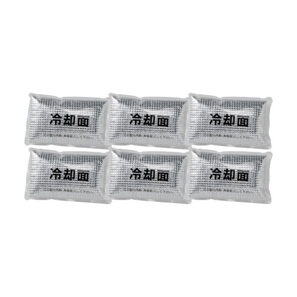 NZ-NCLPC Nクールひんやりパック ) 8213195 6個