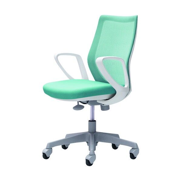 CG-M 固定肘 背メッシュ ハンガー無 ホワイトボディ ゴムキャスター セージ CG21XR FZK6 1点