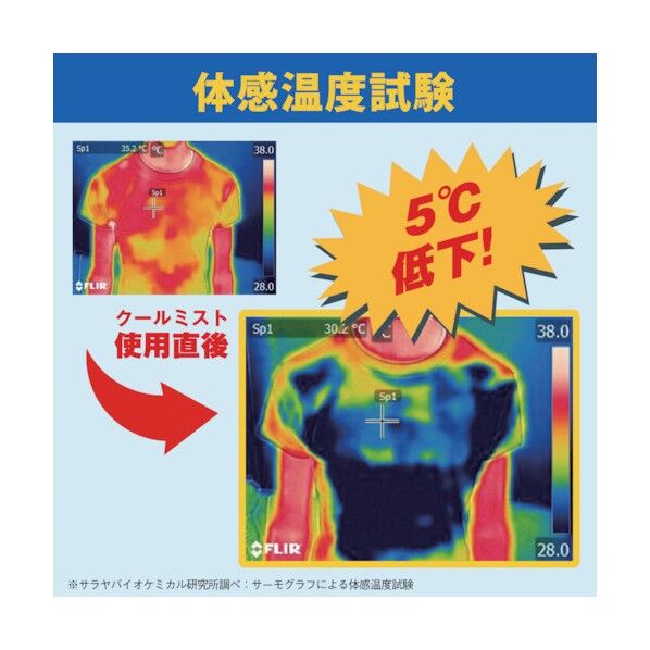 クールリフレ70枚入り