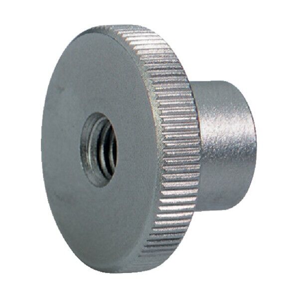 ロングヘッドナールドナット DIN 466 ステンレス鋼 24780.0240 1点