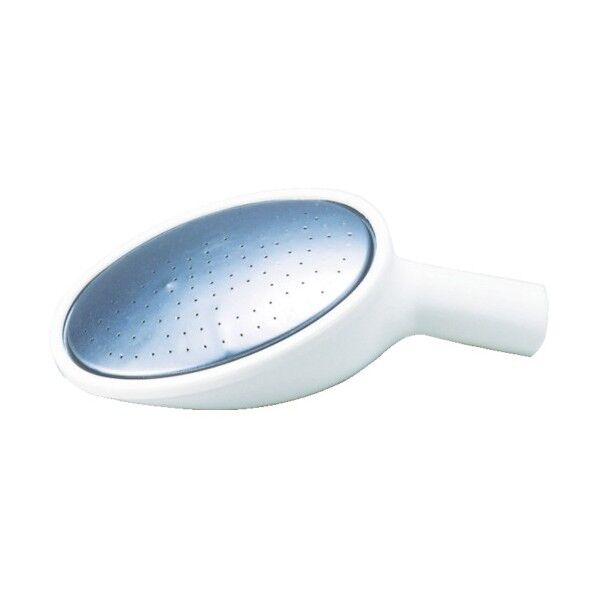 じょうろ ハスの実