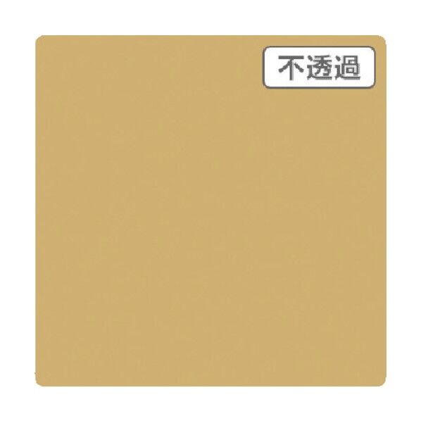 6300021517 1点