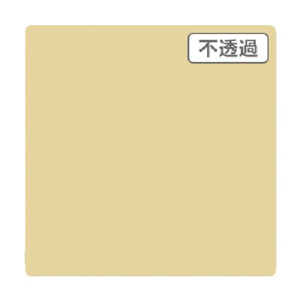 6300021521 1点