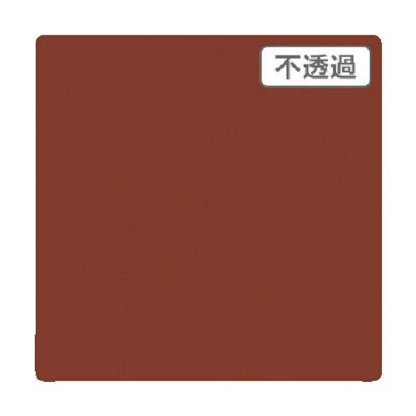 6300021529 1点
